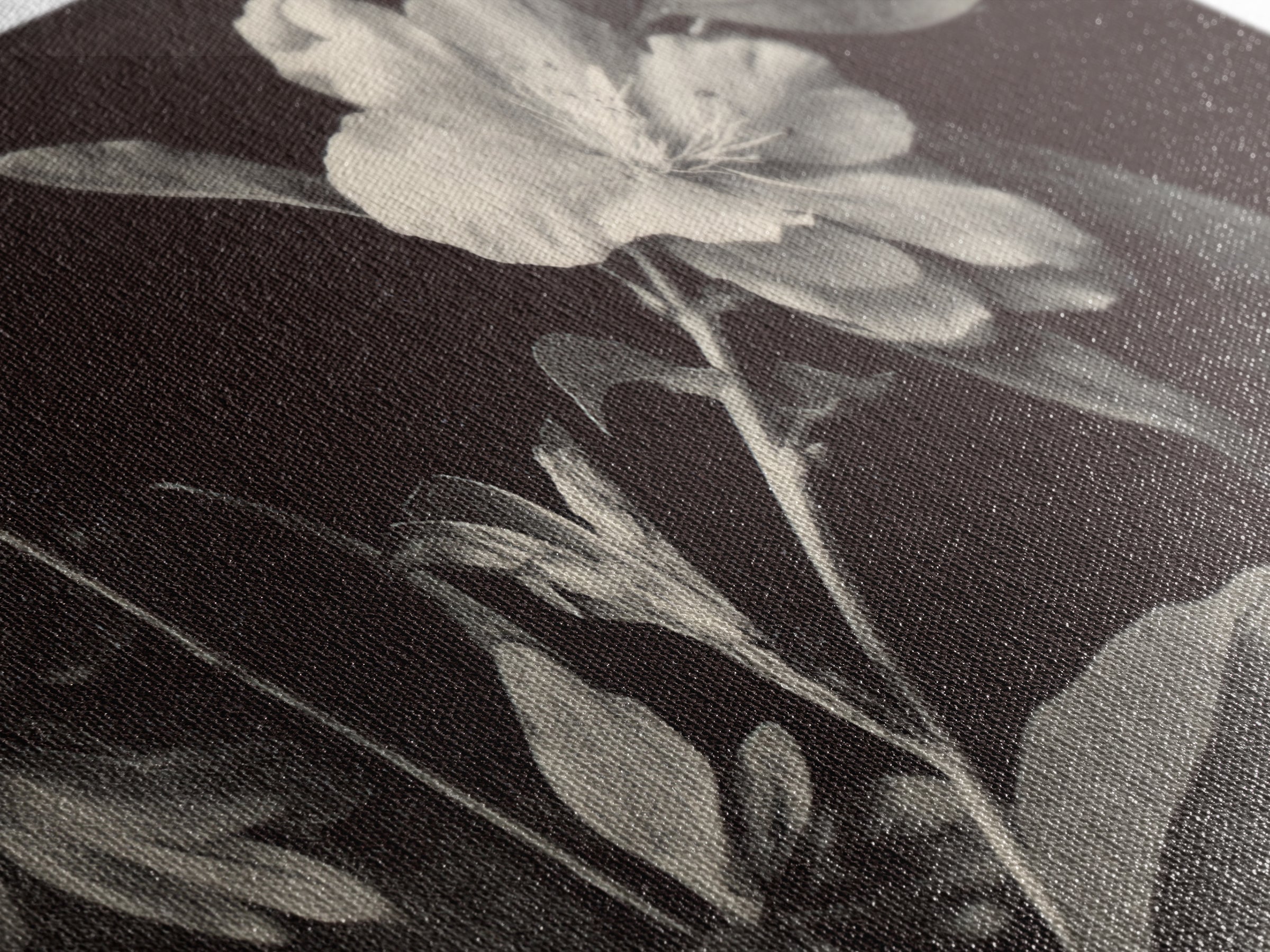 Black and White Botanical Specimen Plate Canvas Print, Black and White Art, Cabin Decor, Living Room Decor, Monochrome, BAW-2x1-19