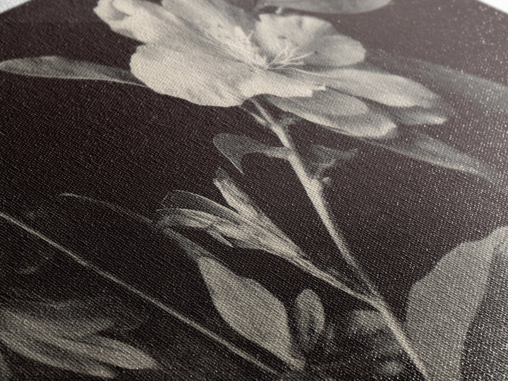 Black and White Botanical Specimen Plate Canvas Print, Black and White Art, Cabin Decor, Living Room Decor, Monochrome, BAW-2x1-19