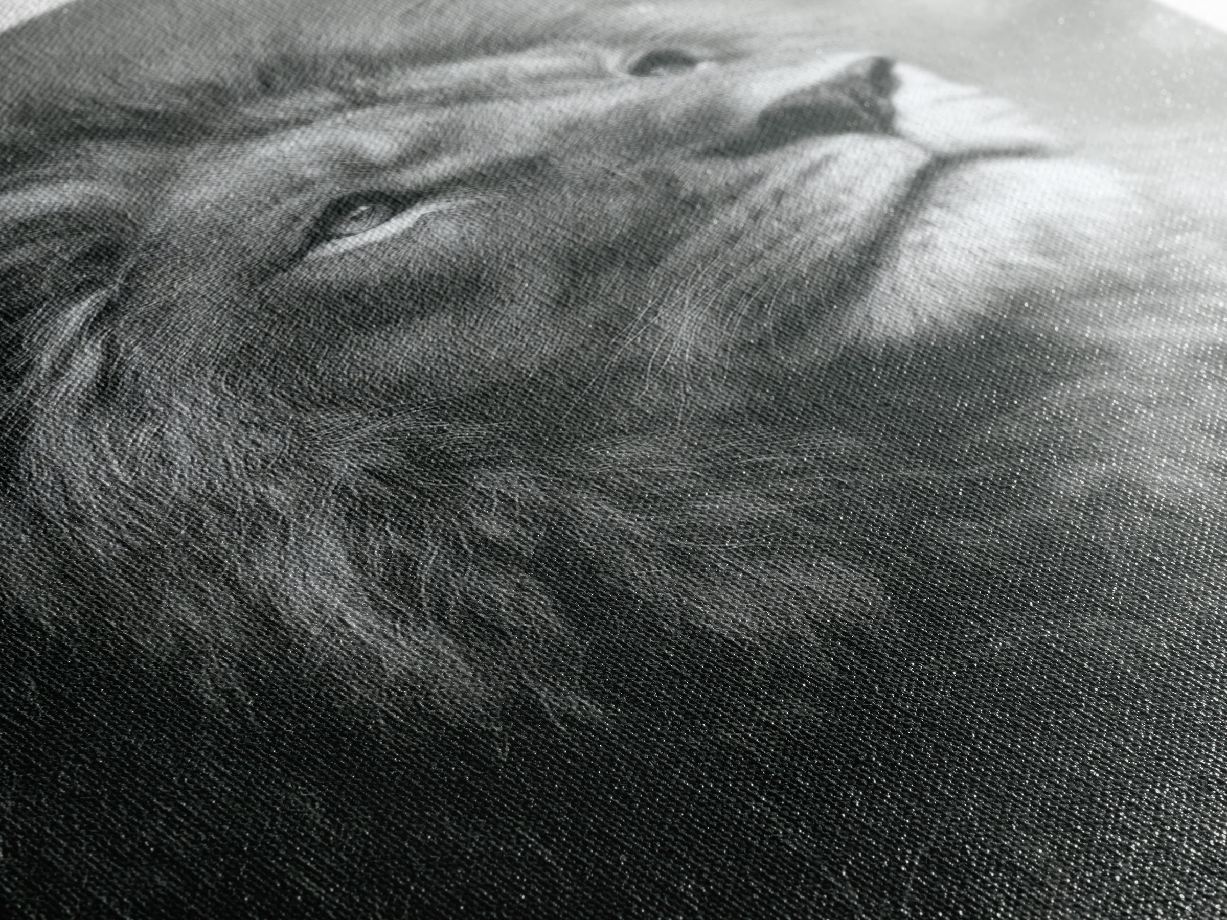 Dramatic Black and White Lion Portrait Framed Canvas Print, Black and White Art, Art Print, Living Room Decor, Monochrome, BAW-2x3-1