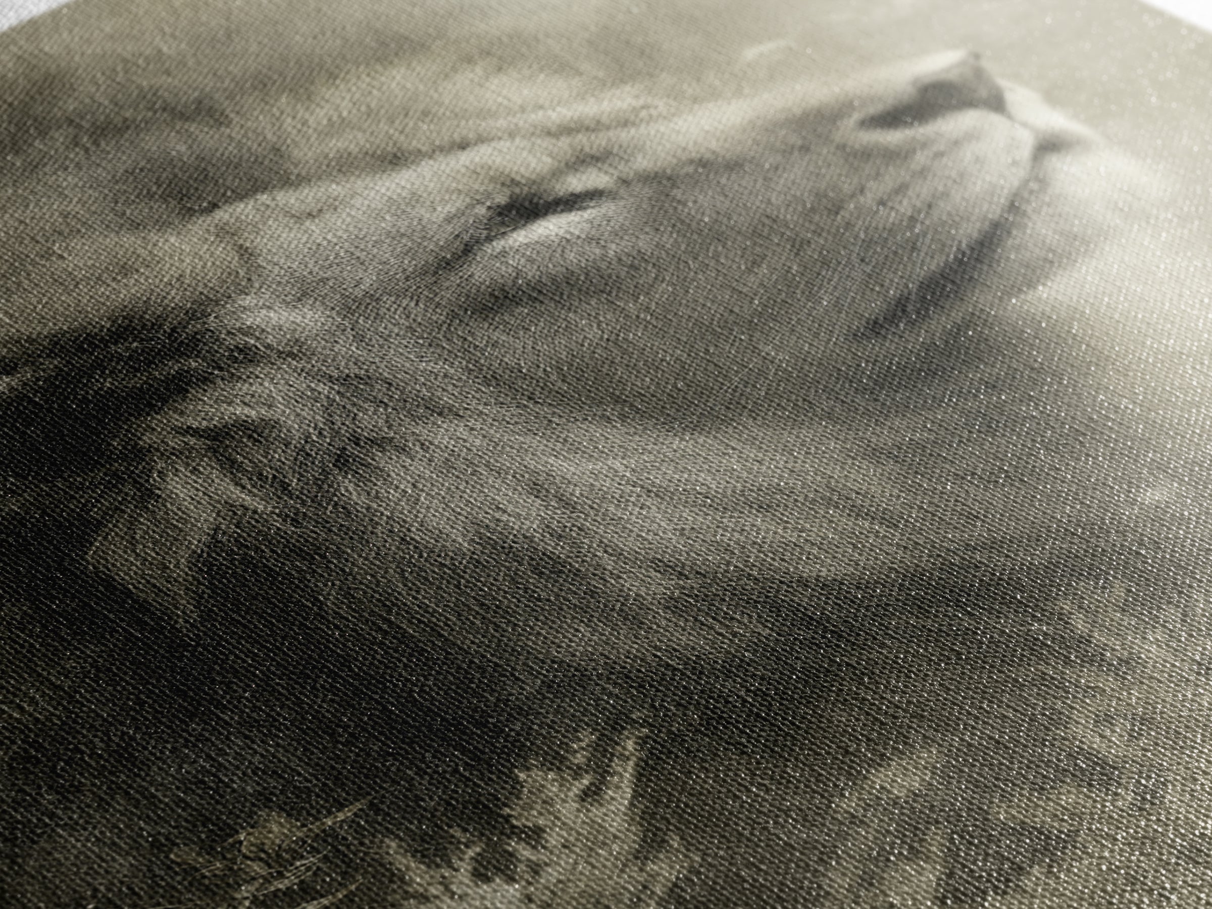 Dramatic Black and White Lion Portrait Framed Canvas Print, Black and White Art, Art Print, Living Room Decor, Monochrome, BAW-2x3-25