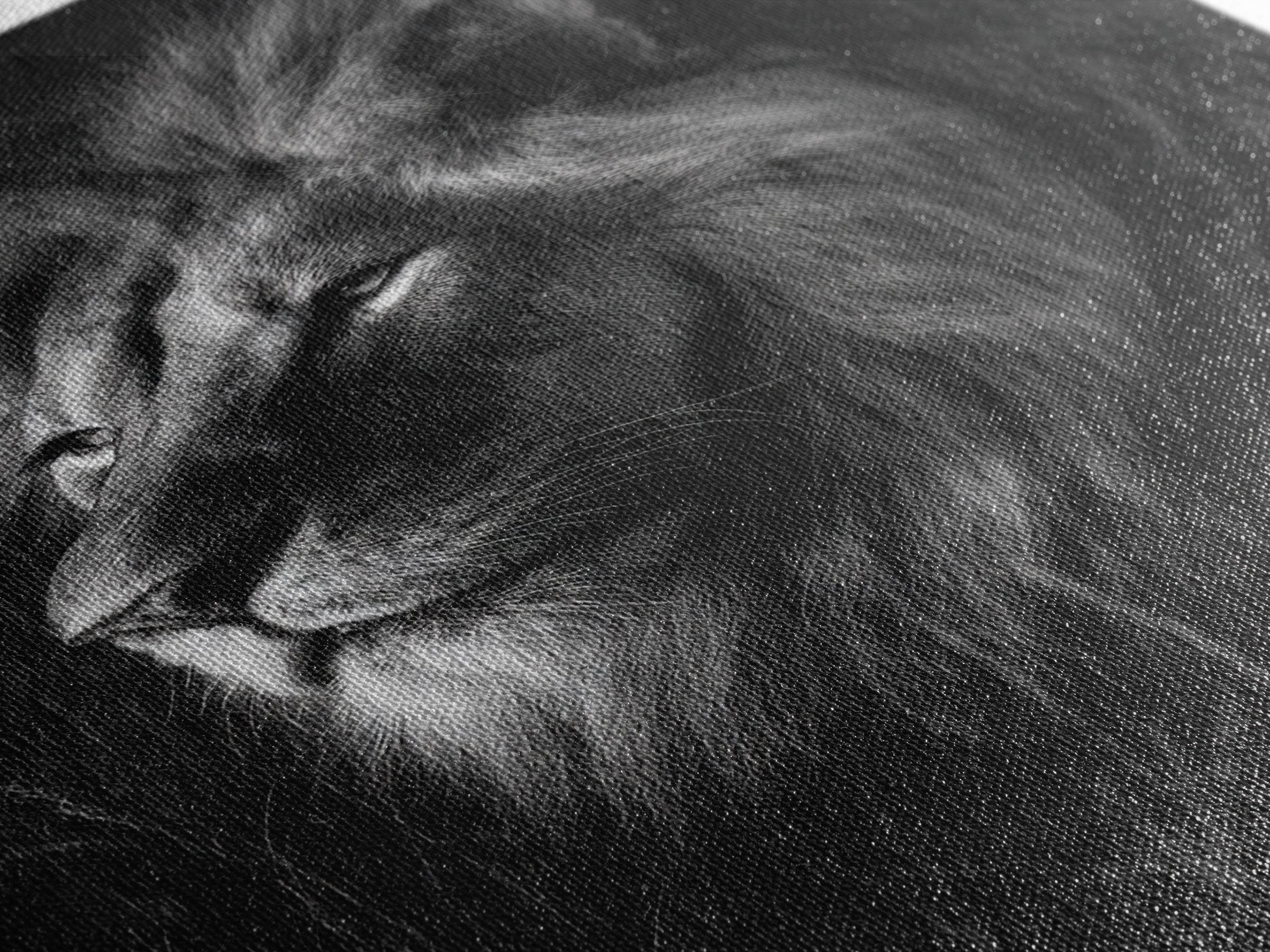 Dramatic Black and White Lion Portrait Canvas Print, Black and White Art, Large Wall Art, Living Room Decor, Monochrome, BAW-2x3-49