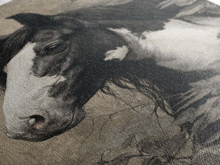 Black and White Wild Horse Portrait Canvas Print, Black and White Art, Wood Wall Art, Living Room Decor, Fine Art, Monochrome, BAW-2x3-61
