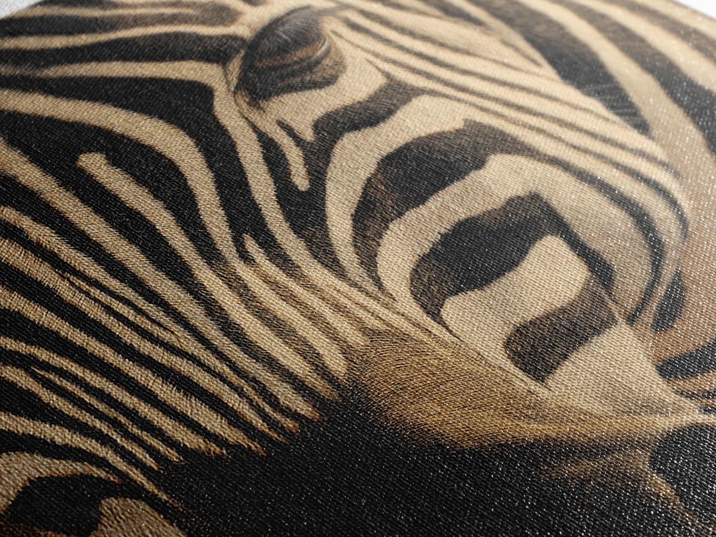 Zebra Stripe Closeup as Graphic Abstraction Canvas Print, Black and White Art, Halloween Decor, Living Room Decor, Monochrome, BAW-2x3-64