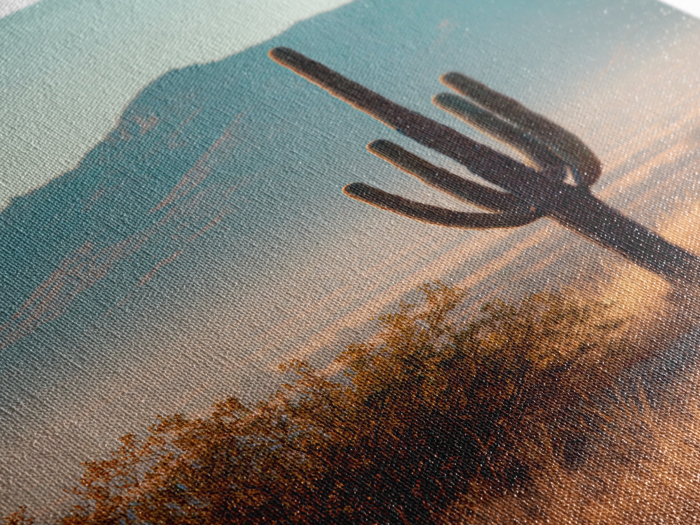 Monochrome Desert Cactus Silhouette Canvas Print, Black and White Art, Abstract Wall Art, Living Room Decor, Watercolor Art, BAW-2x3-77