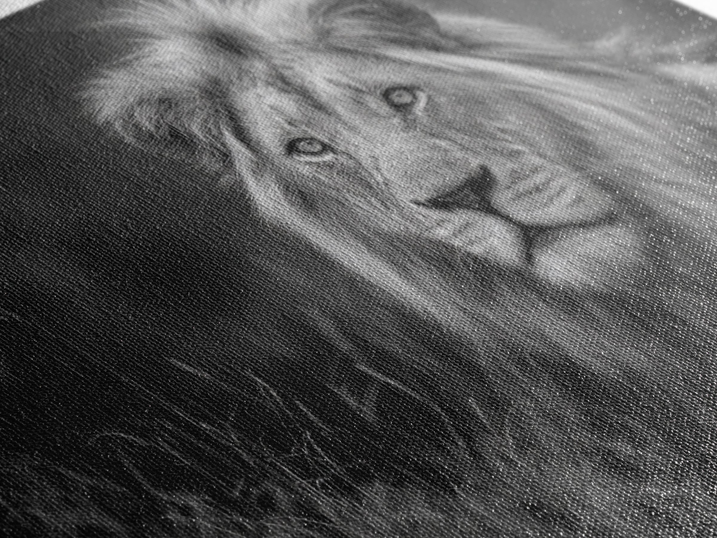 Dramatic Black and White Lion Portrait Canvas Print, Black and White Art, Photography Prints, Living Room Decor, Monochrome, BAW-3x2-21