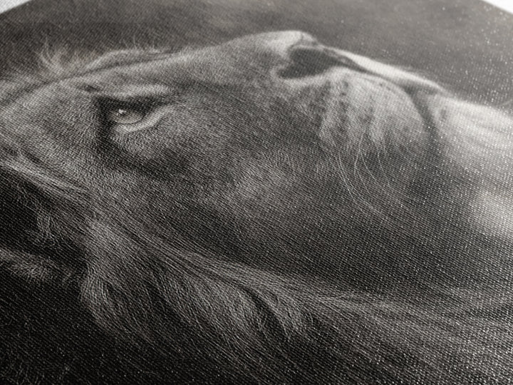 Dramatic Black and White Lion Portrait Framed Canvas Print, Black and White Art, Gallery Decor, Living Room Decor, Monochrome, BAW-3x2-45