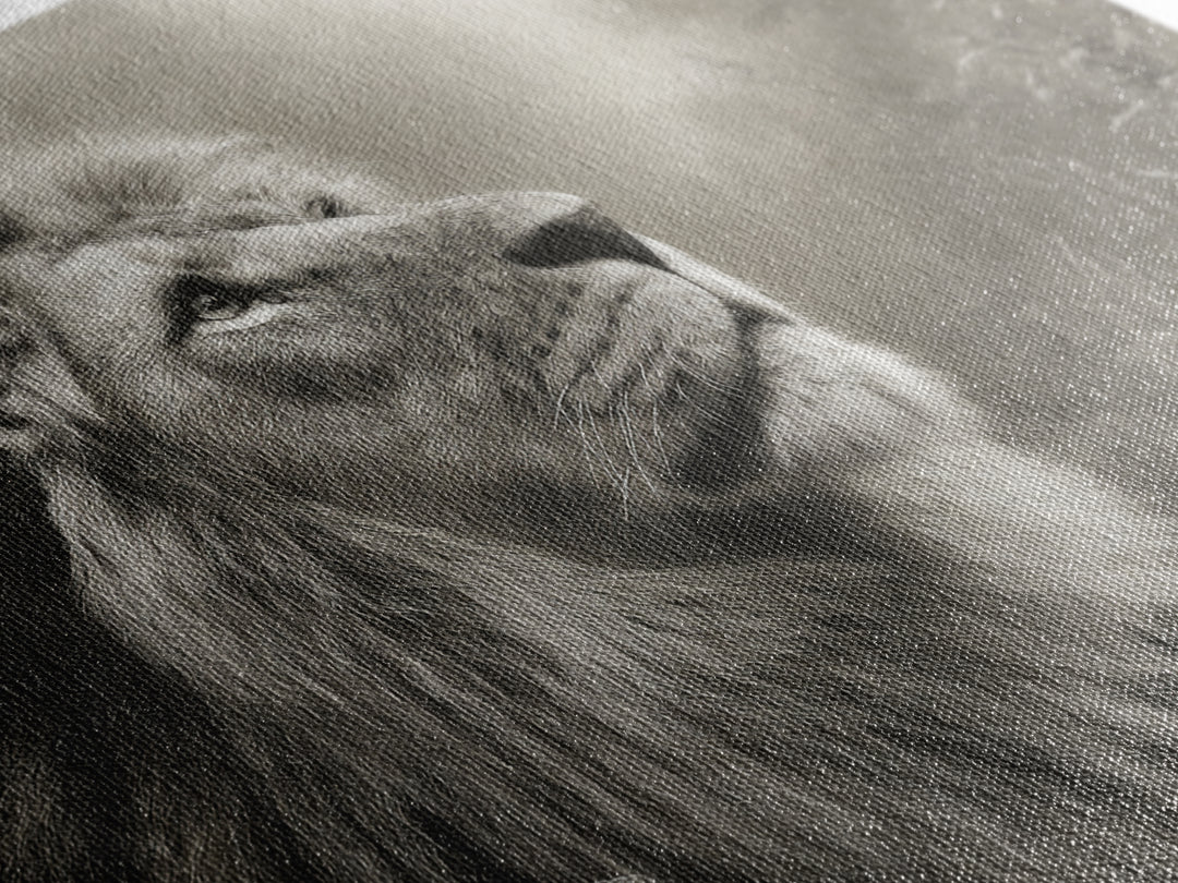 Dramatic Black and White Lion Portrait Framed Canvas Print, Black and White Art, Gallery Decor, Living Room Decor, Monochrome, BAW-3x2-69