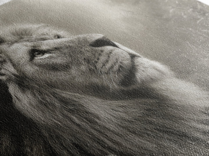 Dramatic Black and White Lion Portrait Framed Canvas Print, Black and White Art, Gallery Decor, Living Room Decor, Monochrome, BAW-3x2-69