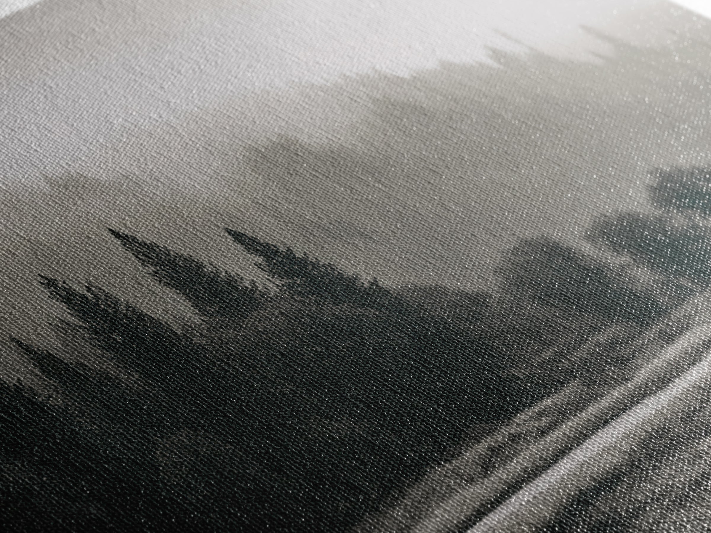 Moody Foggy Forest Canvas Print, Black and White Art, Gothic Decor, Living Room Decor, Oil Painting, Monochrome, BAW-3x2-83