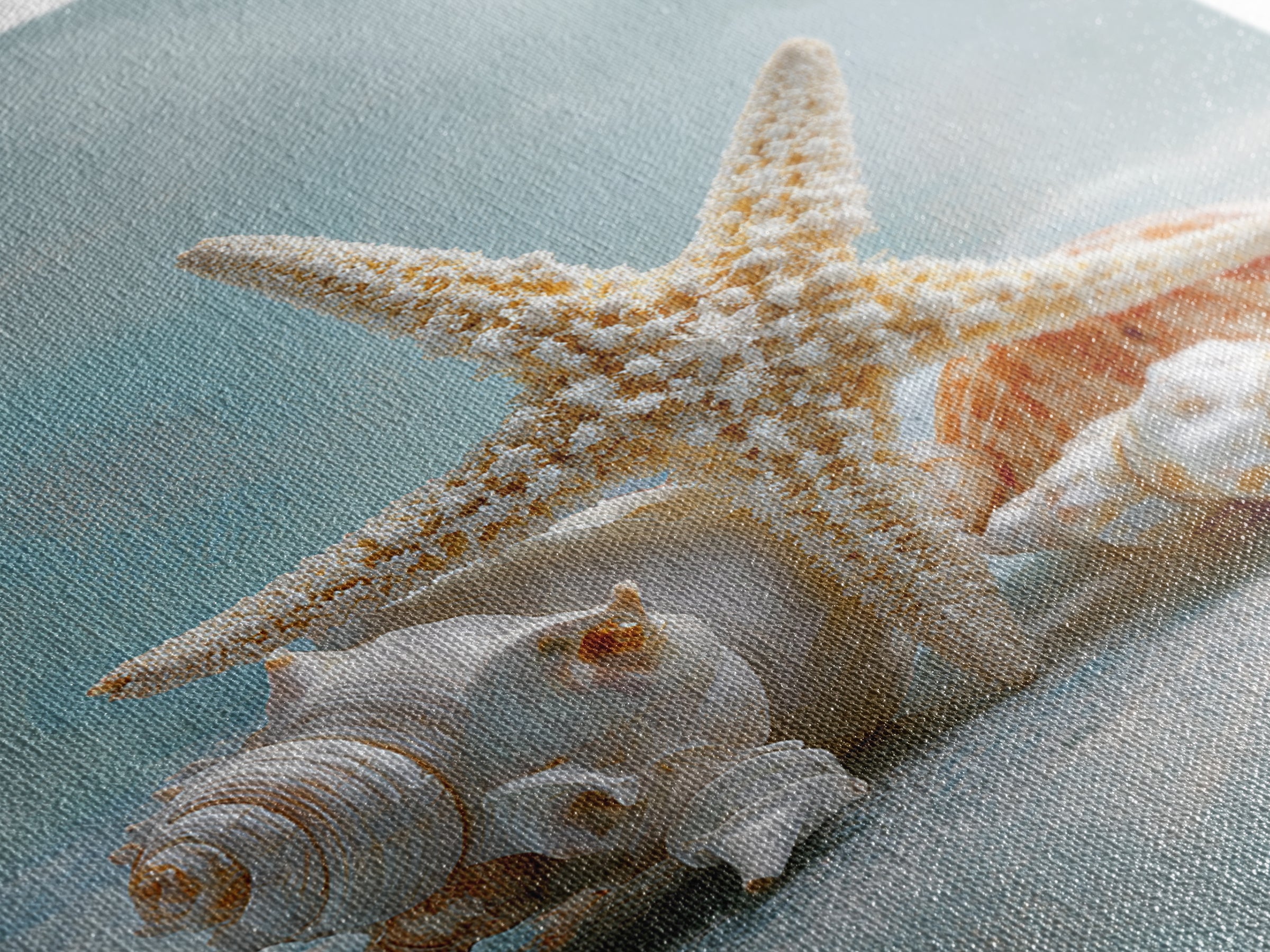 Sun Bleached Starfish and Shells Still Life Framed Canvas Print, Beach Art, Coastal Decor, Oil Painting, Shore, BEA-2x3-21