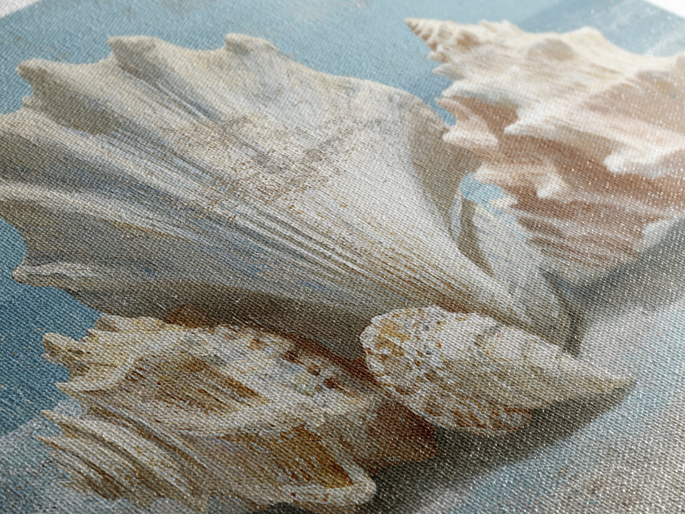 Seashell Collection Painted Like Natural Specimens Canvas Print, Beach Art, Whimsical Art, Coastal Decor, Fine Art, Shore, BEA-3x2-56