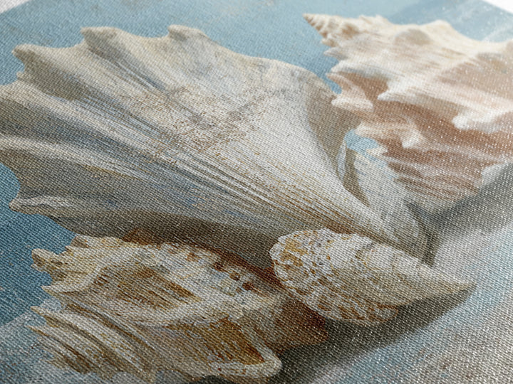 Seashell Collection Painted Like Natural Specimens Canvas Print, Beach Art, Whimsical Art, Coastal Decor, Fine Art, Shore, BEA-3x2-56
