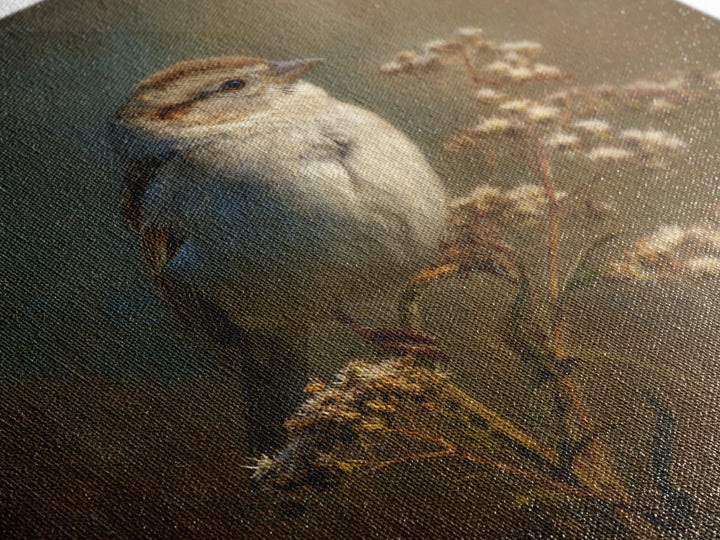 Small Sparrow on Wildflower Stem Canvas Print, Bird Art, Mid Century Wall Art, Living Room Decor, Flight, Fine Art Print, BIR-1x1-14
