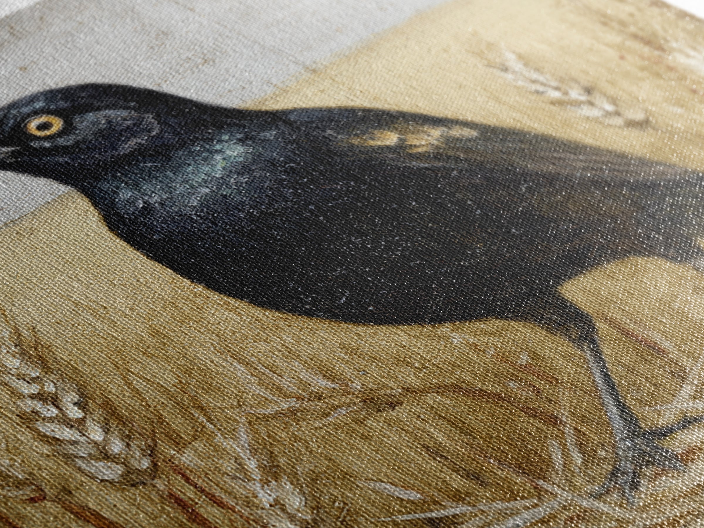 Blackbird on Gold Wheat Field Framed Canvas Print, Bird Art, Nature Prints, Living Room Decor, Watercolor Art, Flight, BIR-1x1-24