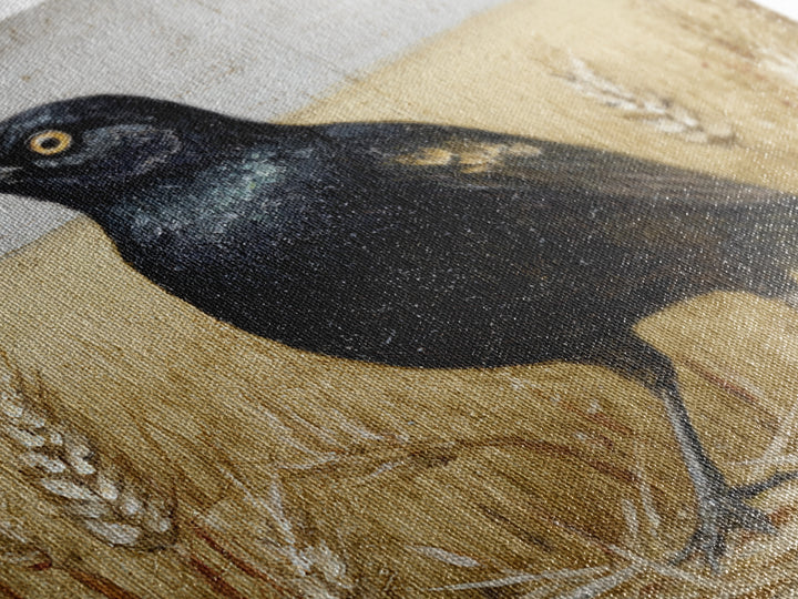 Blackbird on Gold Wheat Field Framed Canvas Print, Bird Art, Nature Prints, Living Room Decor, Watercolor Art, Flight, BIR-1x1-24