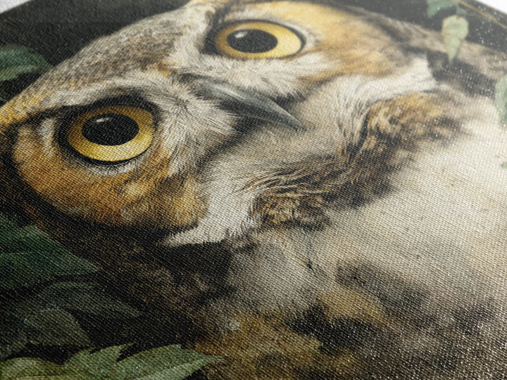 Owl Portrait with Wise Golden Eyes Framed Canvas Print, Bird Art, Fine Art Print, Living Room Decor, Fine Art, Flight, BIR-1x1-29