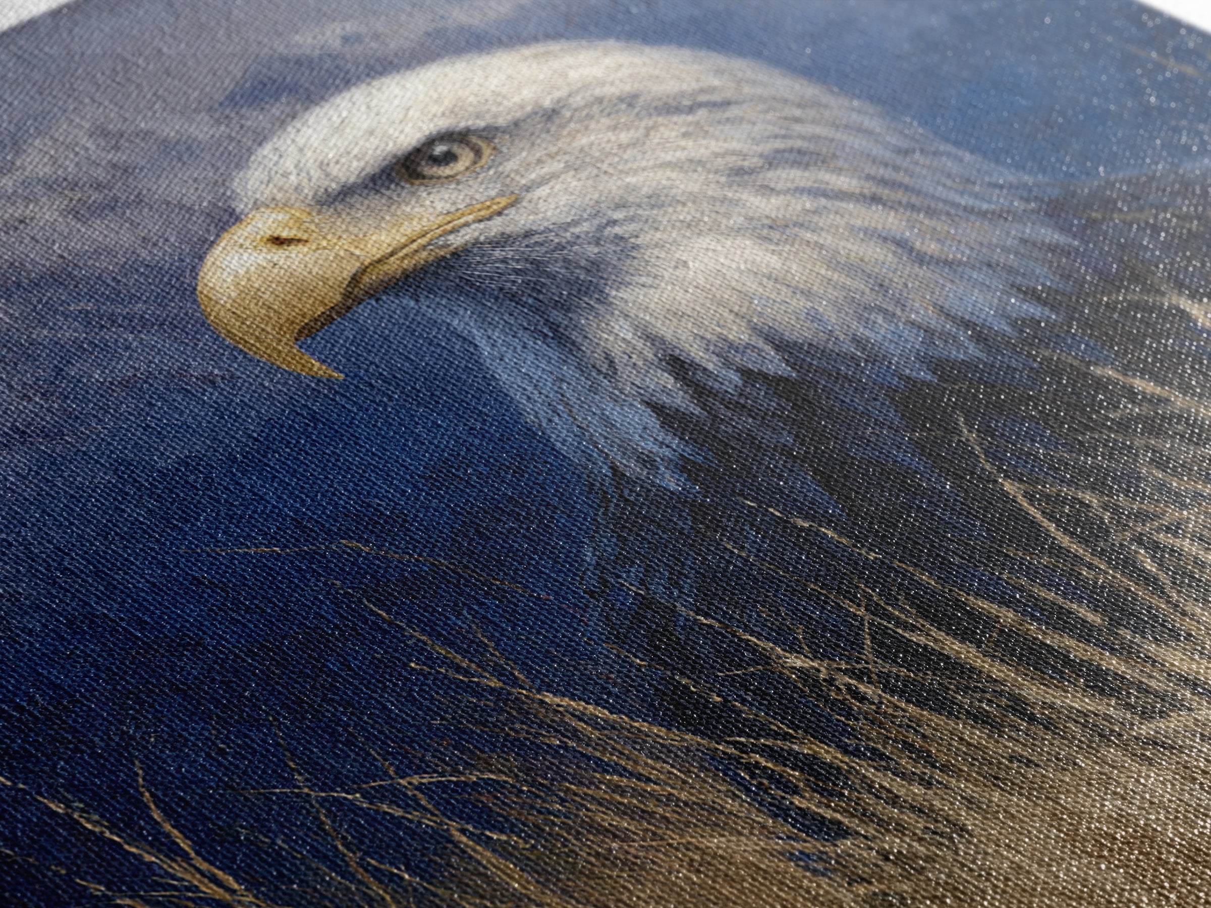 Eagle Portrait with Dramatic Mountain Wind Canvas Print, Bird Art, Printable Art, Living Room Decor, Fine Art, Flight, BIR-1x1-36