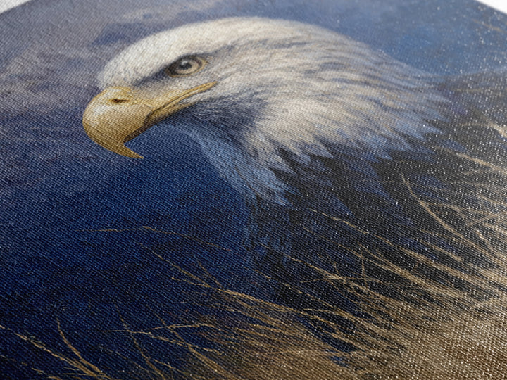 Eagle Portrait with Dramatic Mountain Wind Canvas Print, Bird Art, Printable Art, Living Room Decor, Fine Art, Flight, BIR-1x1-36