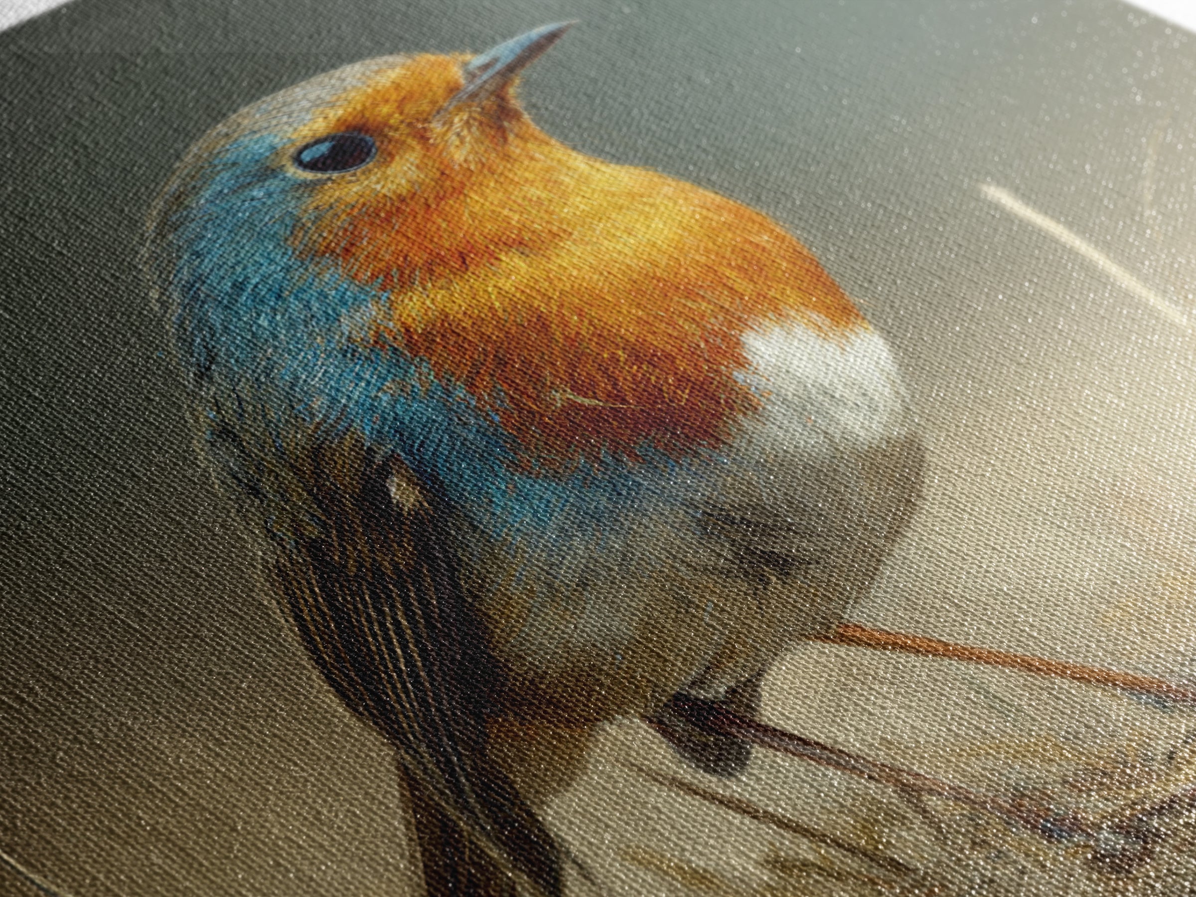 Robin in a Spring Garden with Soft Framed Canvas Print, Bird Art, Gallery Wall, Living Room Decor, Flight, Gallery Decor, BIR-1x1-39