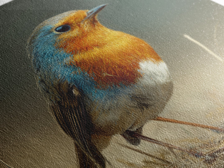 Robin in a Spring Garden with Soft Framed Canvas Print, Bird Art, Gallery Wall, Living Room Decor, Flight, Gallery Decor, BIR-1x1-39