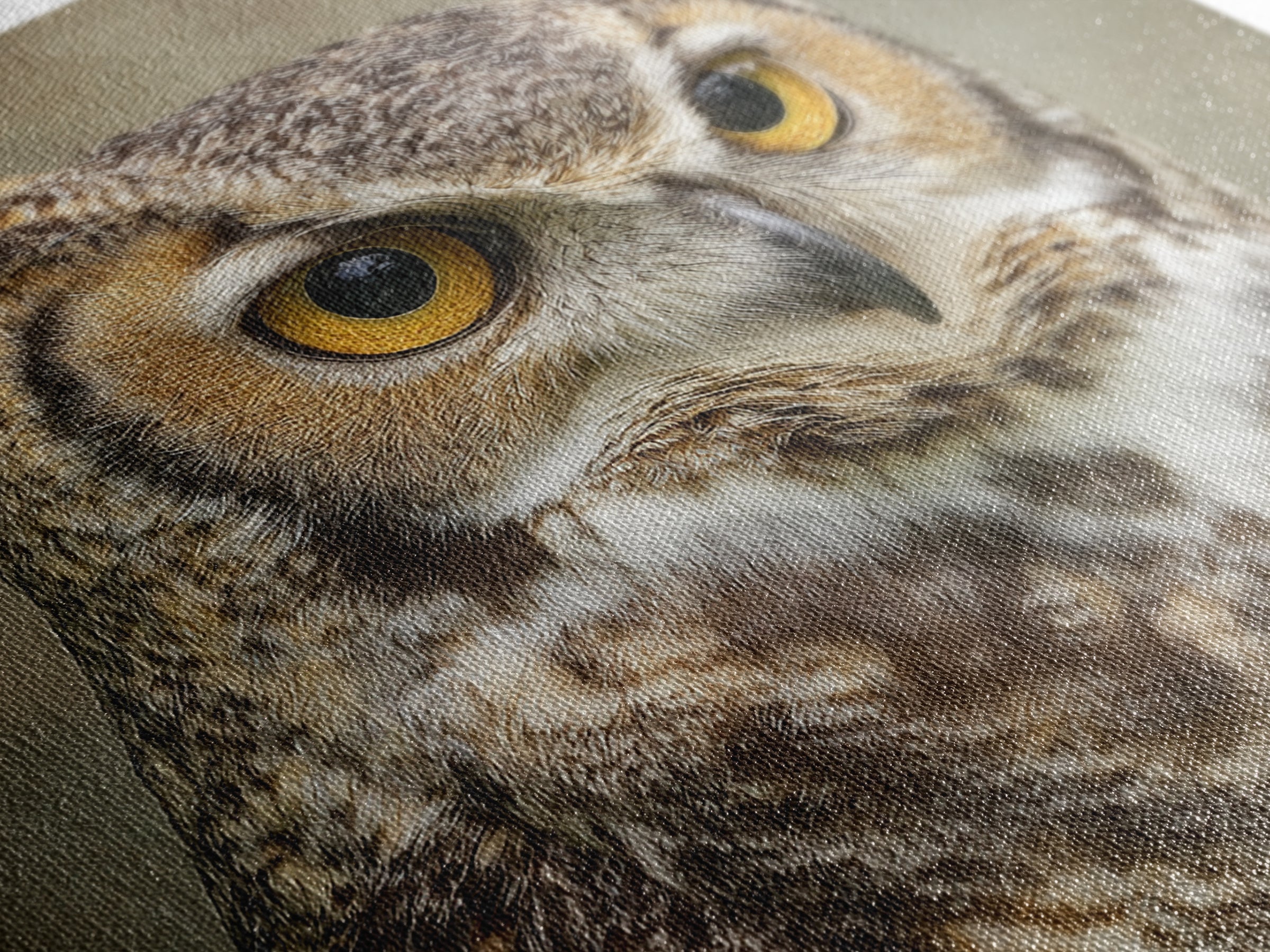 Owl Portrait with Wise Golden Eyes Framed Canvas Print, Bird Art, Fine Art Print, Living Room Decor, Fine Art, Flight, BIR-1x1-53