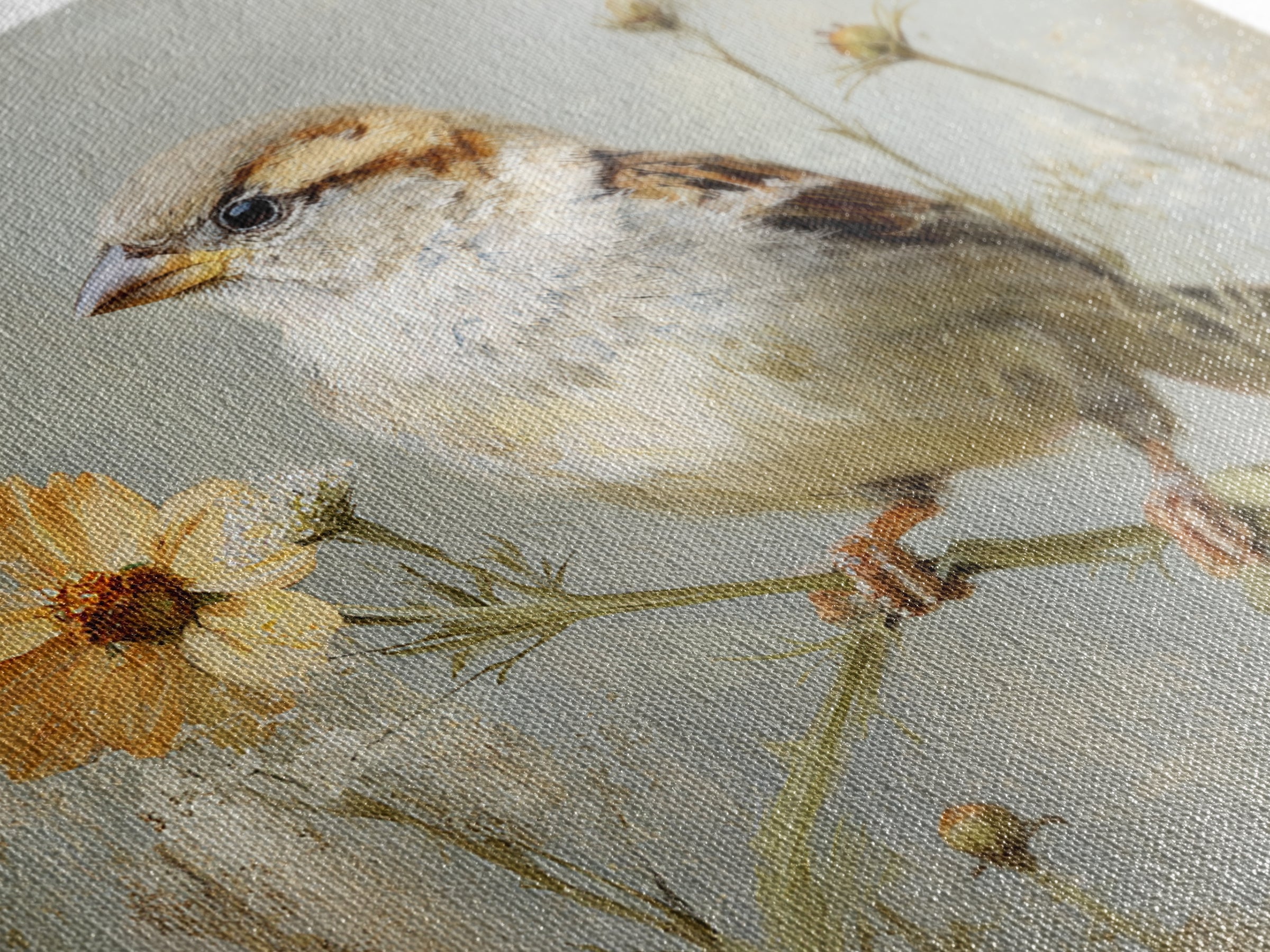 Small Sparrow on Wildflower Stem Framed Canvas Print, Bird Art, Nature Wall Art, Living Room Decor, Fine Art, Flight, BIR-1x1-62