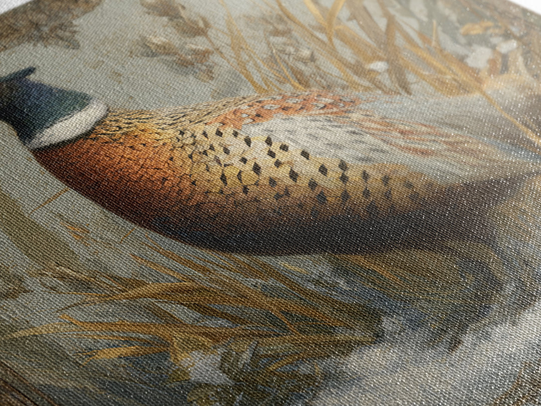 Pheasant with Ornate Feather Details Framed Canvas Print, Bird Art, Gallery Decor, Living Room Decor, Fine Art, Flight, BIR-1x1-67