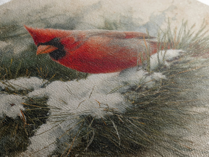Red Cardinal on Snowy Pine Branch Framed Canvas Print, Bird Art, Art Print, Living Room Decor, Fine Art, Flight, Original Art, BIR-1x1-73