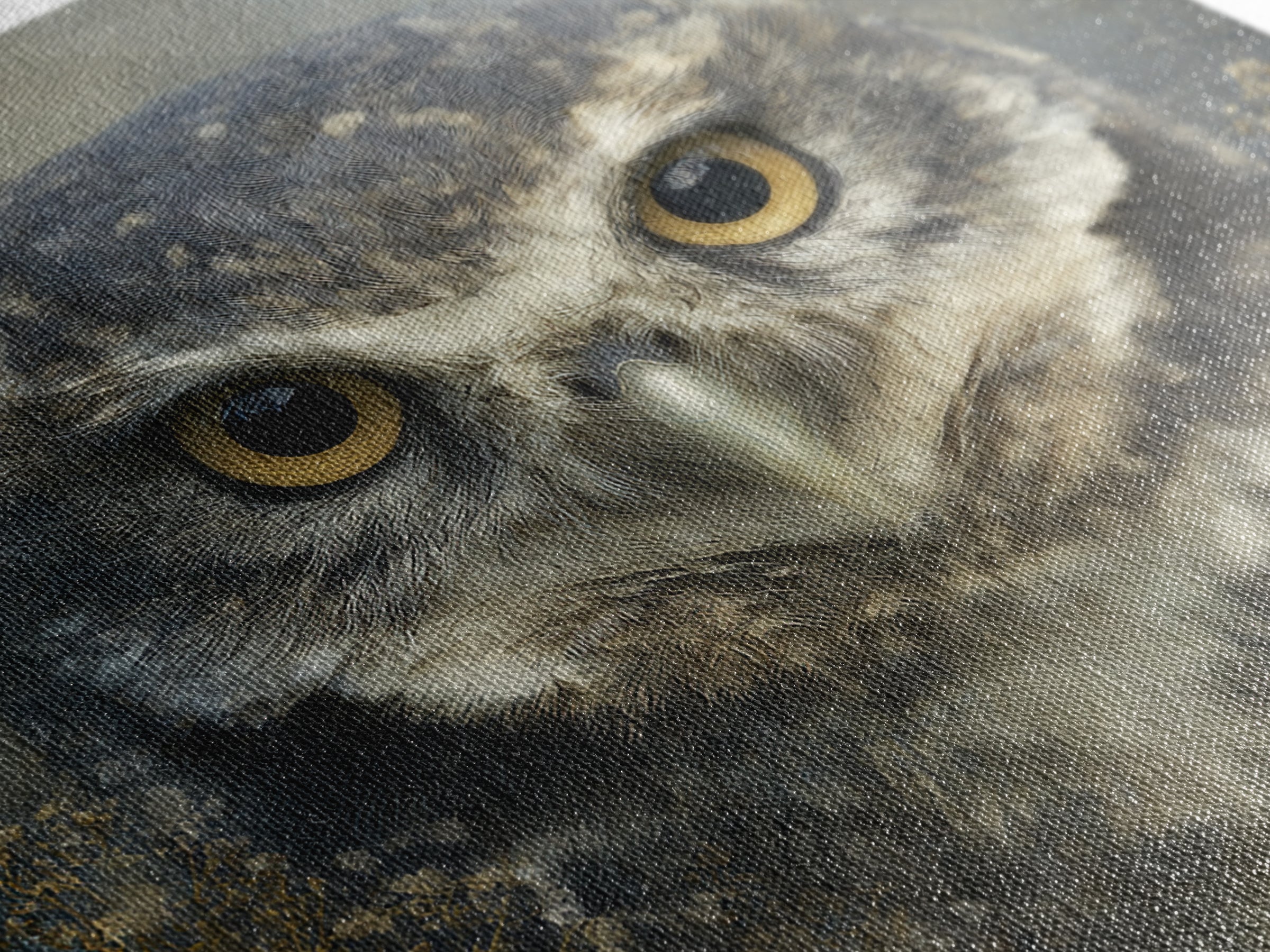 Owl Portrait with Wise Golden Eyes Canvas Print, Bird Art, Room Decor, Living Room Decor, Fine Art, Flight, Digital Print, BIR-1x1-77