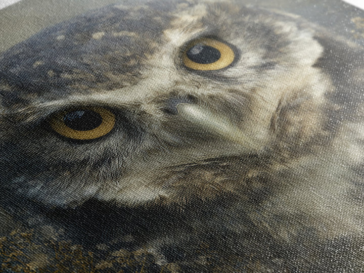 Owl Portrait with Wise Golden Eyes Canvas Print, Bird Art, Room Decor, Living Room Decor, Fine Art, Flight, Digital Print, BIR-1x1-77