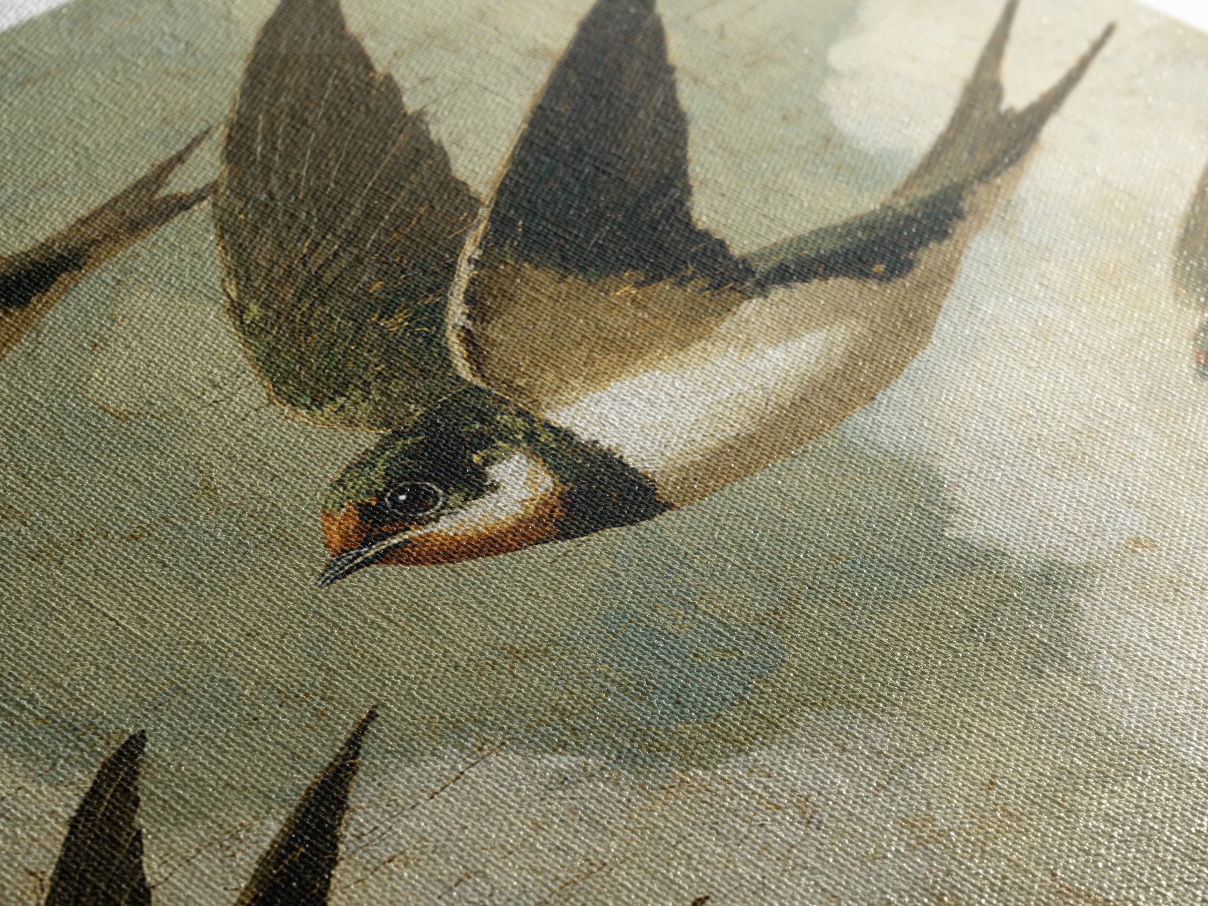 Flock of Swallows Sweeping Across Open Sky Framed Canvas Print, Bird Art, Gallery Decor, Living Room Decor, Fine Art, Flight, BIR-1x1-78