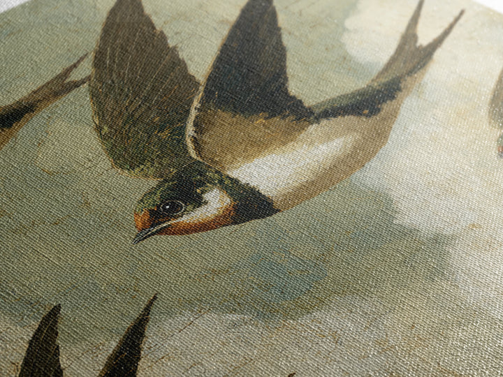 Flock of Swallows Sweeping Across Open Sky Framed Canvas Print, Bird Art, Gallery Decor, Living Room Decor, Fine Art, Flight, BIR-1x1-78