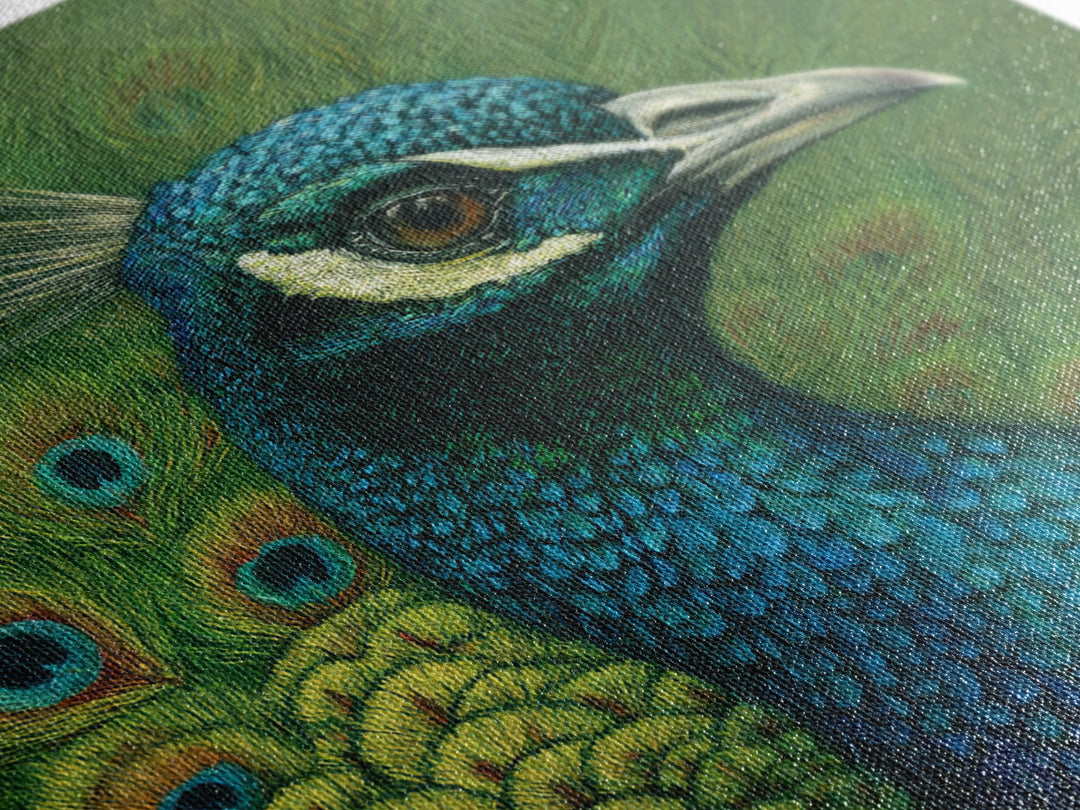 Peacock with Jewel Tone Feather Pattern Framed Canvas Print, Bird Art, Fine Art Print, Living Room Decor, Oil Painting, Flight, BIR-1x1-79