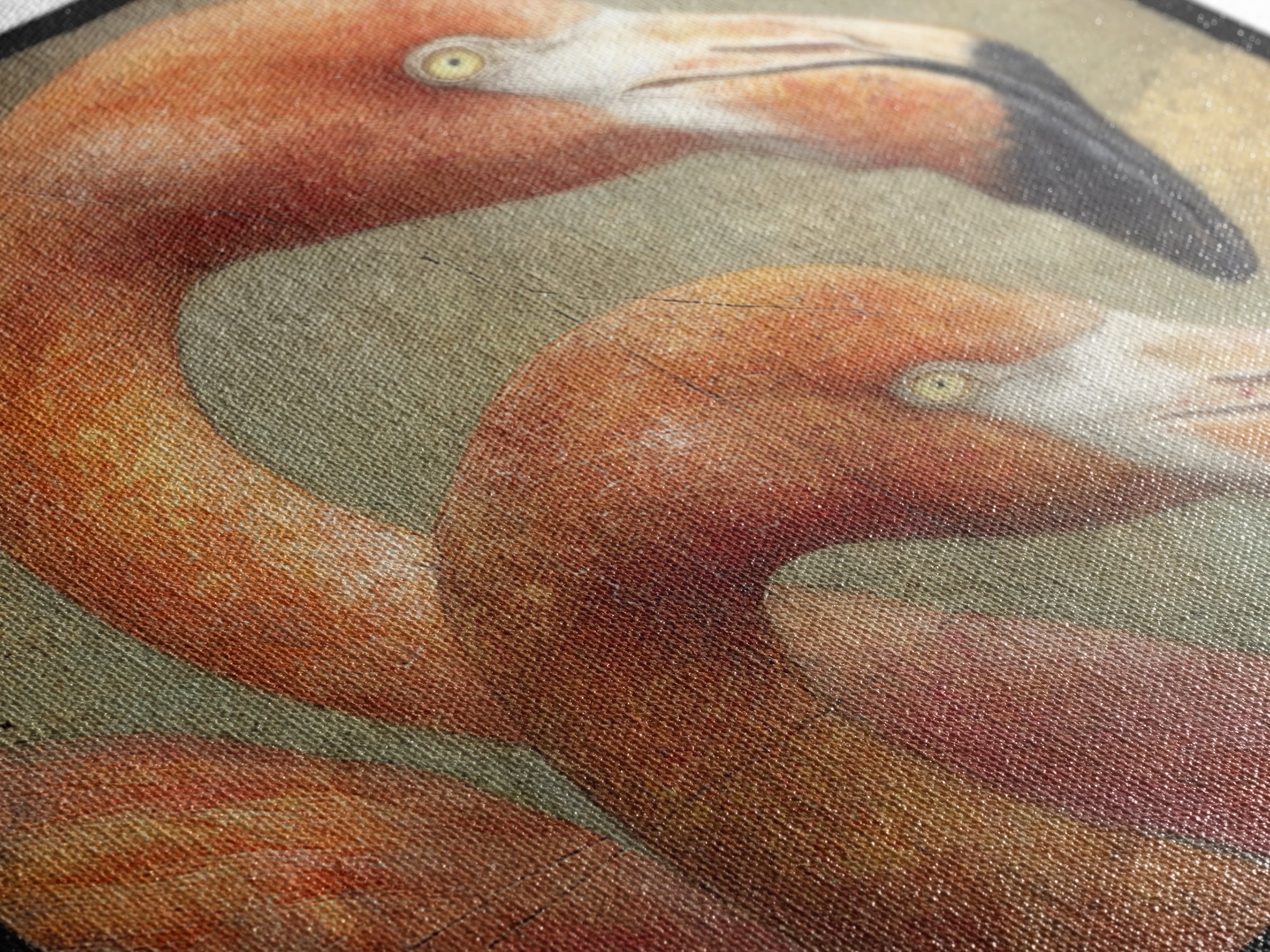 Flamingo Pair in Coral Water Reflections Canvas Print, Bird Art, Neutral Decor, Living Room Decor, Oil Painting, Flight, BIR-1x1-82