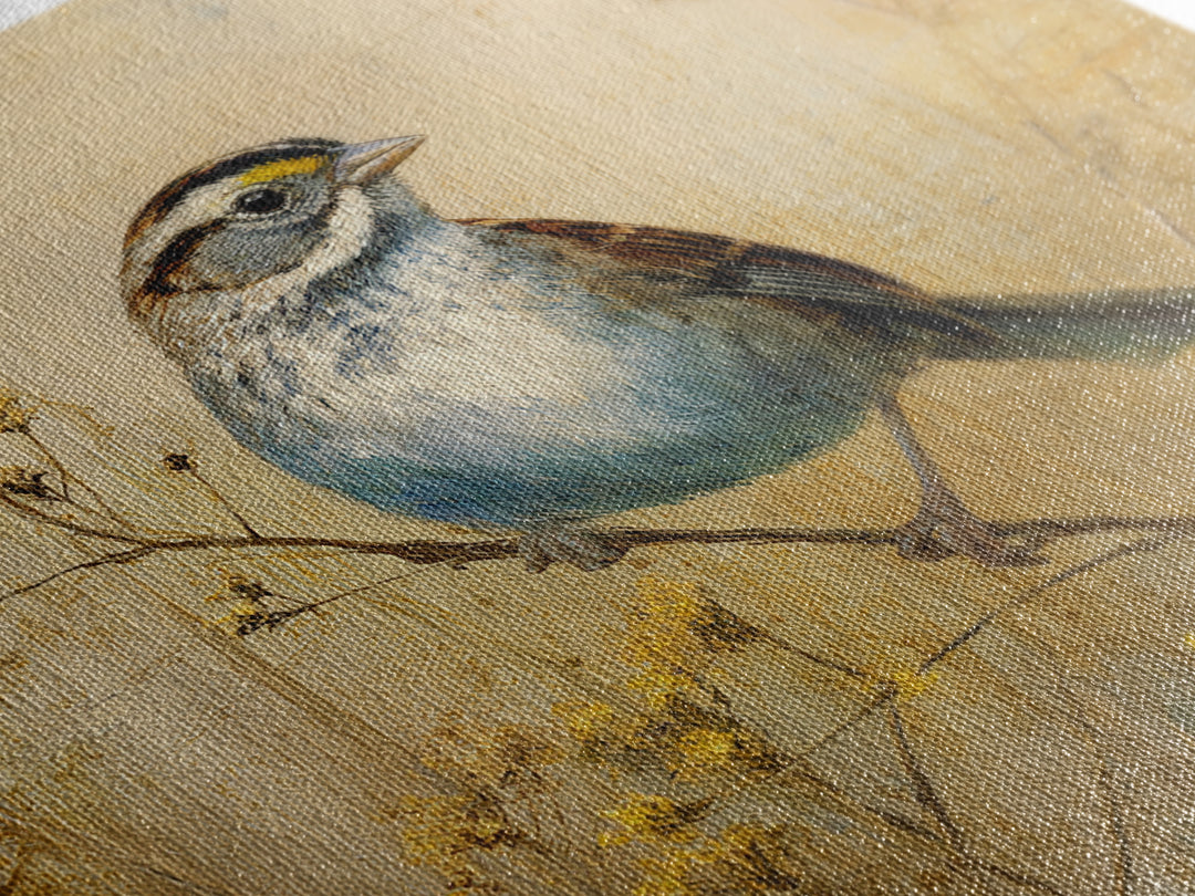 Small Sparrow on Wildflower Stem Canvas Print, Bird Art, Modern Decor, Living Room Decor, Oil Painting, Flight, Home Decor, BIR-1x1-86