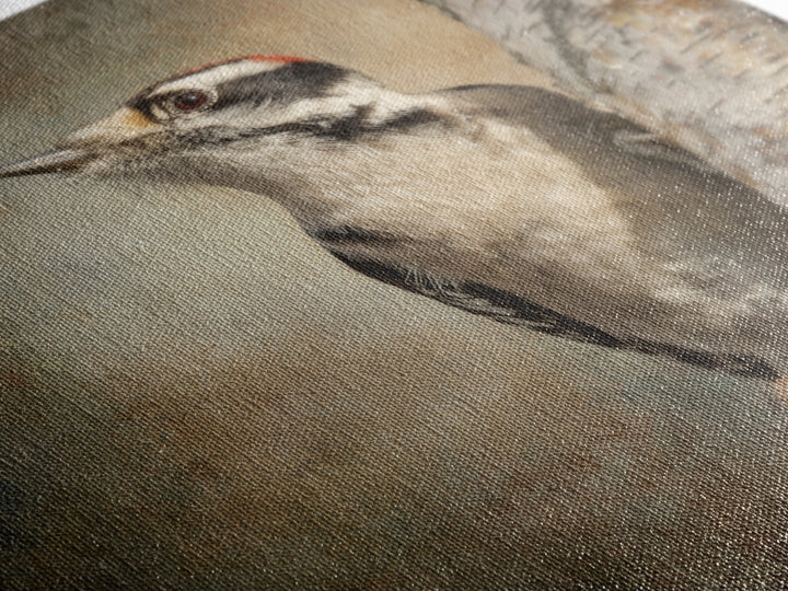 Woodpecker on Birch Bark Texture Framed Canvas Print, Bird Art, Luxury Decor, Living Room Decor, Oil Painting, Flight, BIR-1x1-93