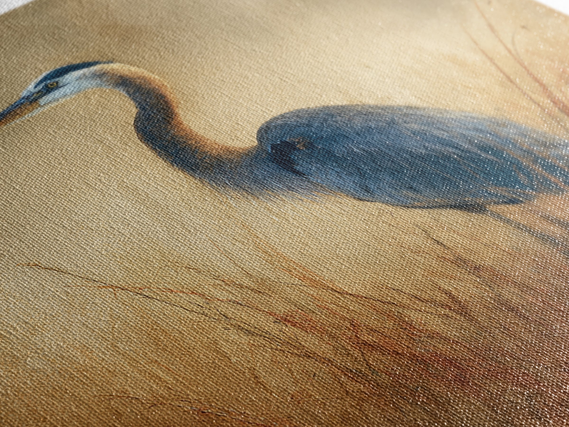 Blue Heron in Misty Marsh Grass Canvas Print, Bird Art, Boho Decor, Living Room Decor, Fine Art, Flight, Printable Wall Art, BIR-1x1-98