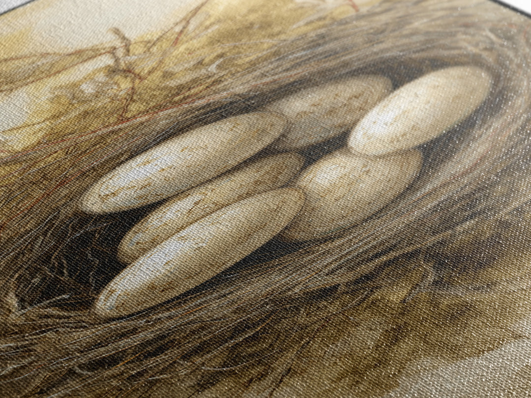 Bird Nest with Eggs and Delicate Twigs Canvas Print, Bird Art, Mcm Decor, Living Room Decor, Fine Art, Flight, Neutral Decor, BIR-1x3-10