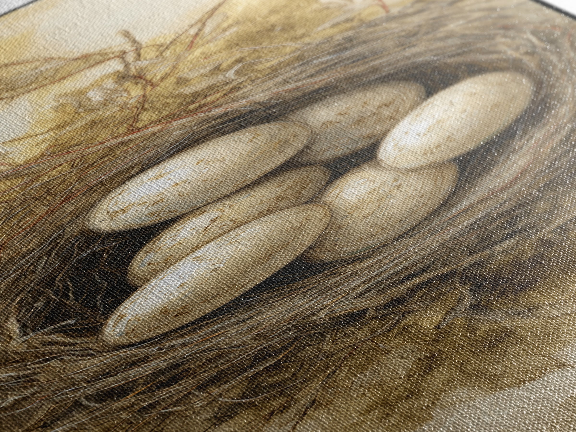 Bird Nest with Eggs and Delicate Twigs Canvas Print, Bird Art, Mcm Decor, Living Room Decor, Fine Art, Flight, Neutral Decor, BIR-1x3-10
