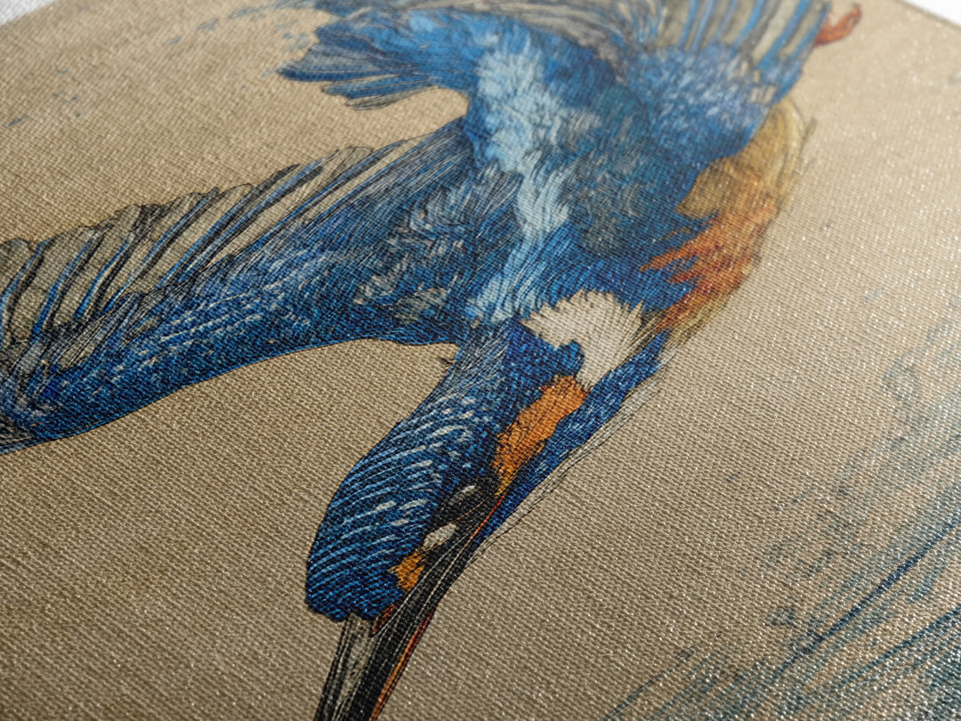 Kingfisher Diving Toward Blue Water Canvas Print, Bird Art, Digital Prints, Living Room Decor, Fine Art, Flight, Modern Art, BIR-1x3-23