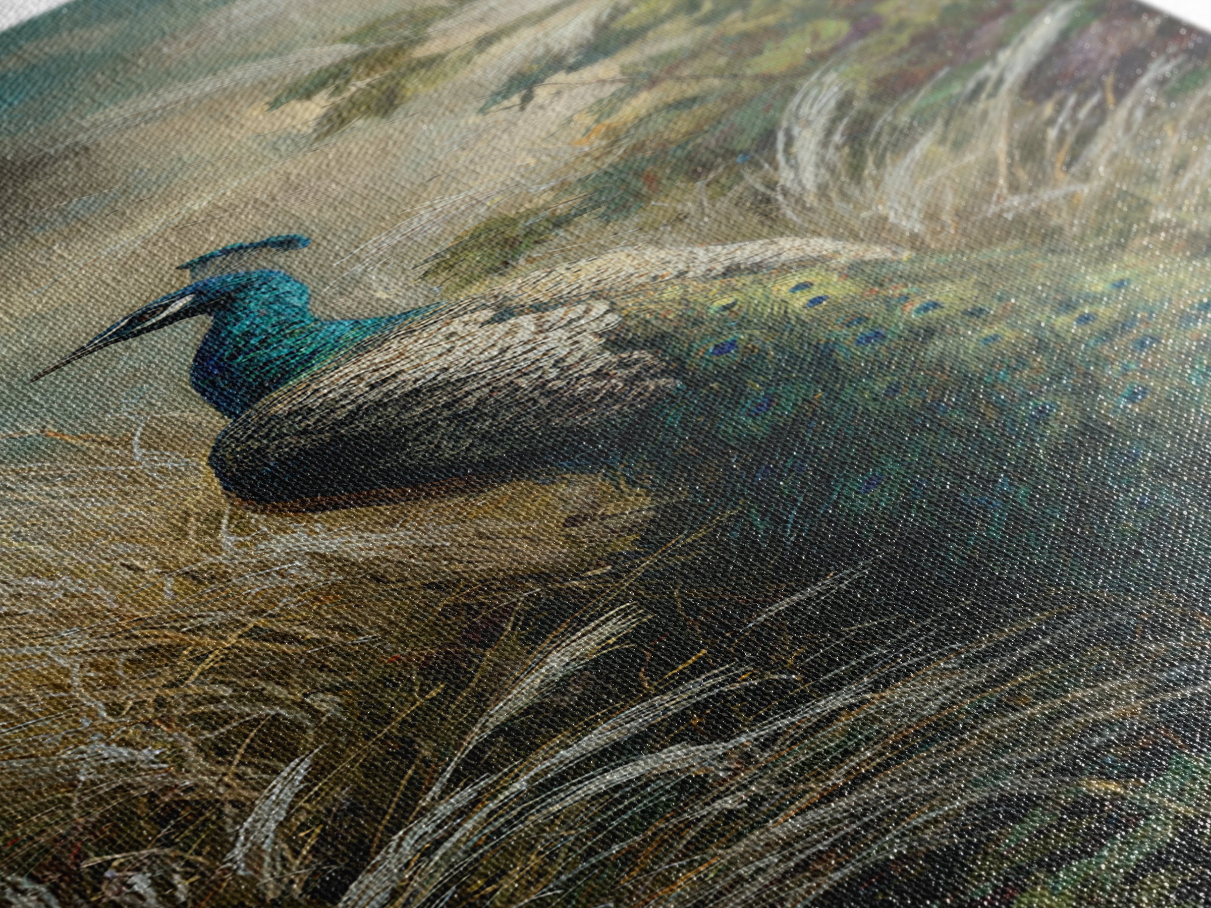 Peacock with Jewel Tone Feather Pattern Canvas Print, Bird Art, Digital Print, Living Room Decor, Fine Art, Flight, Bird Prints, BIR-1x3-43