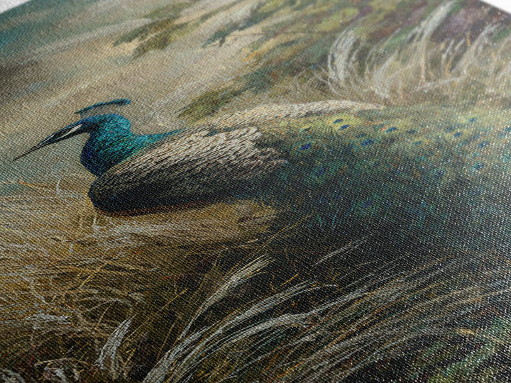 Peacock with Jewel Tone Feather Pattern Canvas Print, Bird Art, Digital Print, Living Room Decor, Fine Art, Flight, Bird Prints, BIR-1x3-43