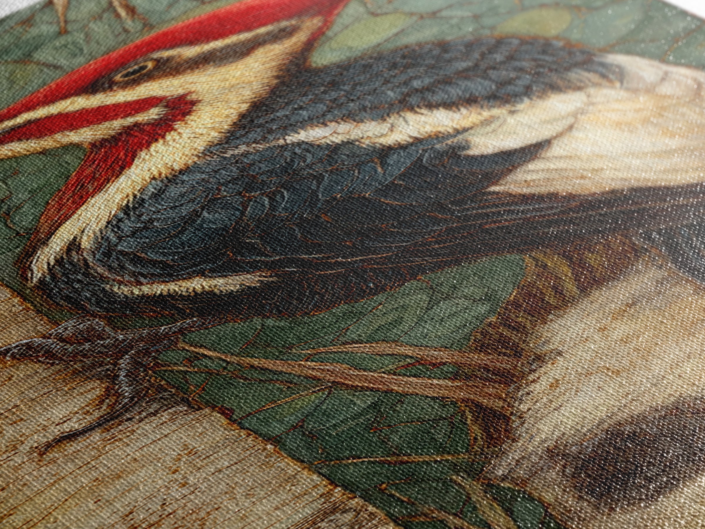 Woodpecker on Birch Bark Texture Canvas Print, Bird Art, Fine Art Print, Living Room Decor, Abstract Art, Flight, Wall Decor, BIR-1x3-57