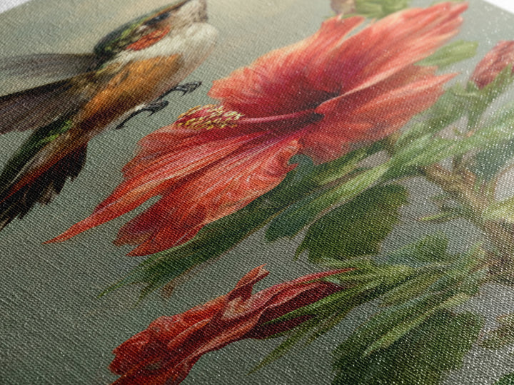 Hummingbird Hovering Beside Bright Hibiscus Canvas Print, Bird Art, Living Room Decor, Fine Art, Flight, Rustic Home Decor, BIR-1x3-88