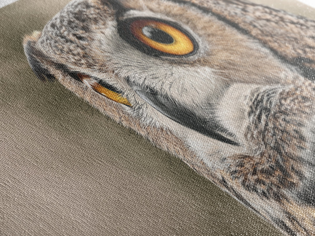Owl Portrait with Wise Golden Eyes Framed Canvas Print, Bird Art, Home Decor, Living Room Decor, Flight, Modern Wall Art, BIR-2x1-1