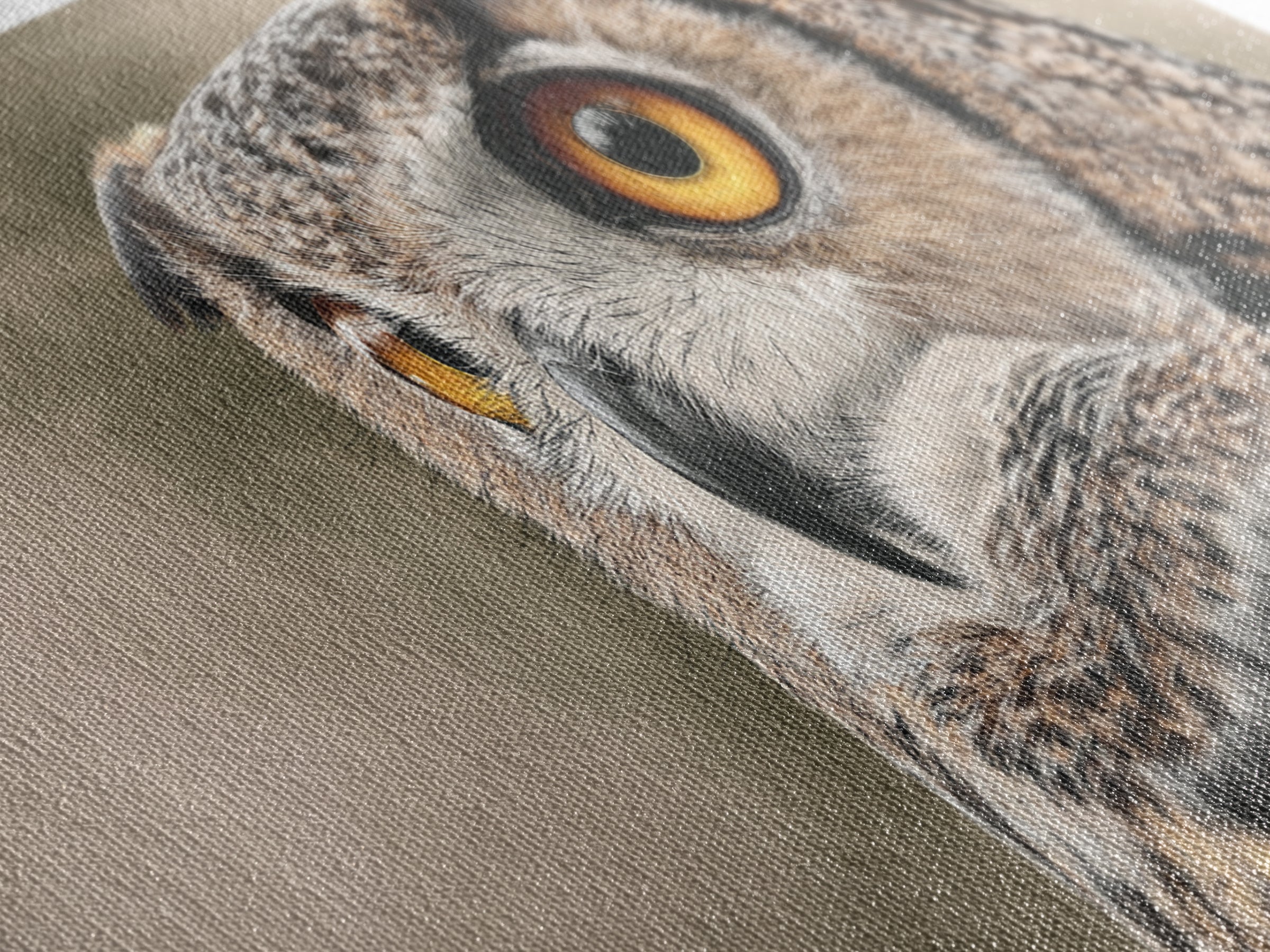 Owl Portrait with Wise Golden Eyes Framed Canvas Print, Bird Art, Home Decor, Living Room Decor, Flight, Modern Wall Art, BIR-2x1-1