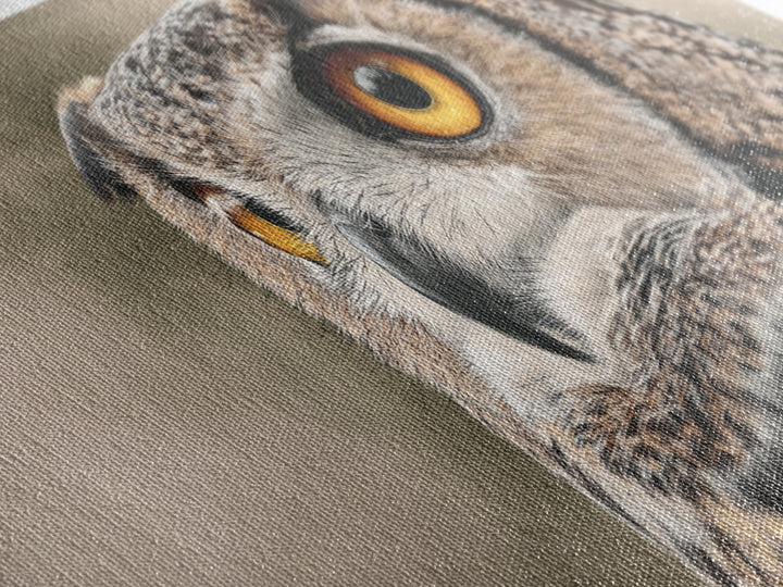 Owl Portrait with Wise Golden Eyes Framed Canvas Print, Bird Art, Home Decor, Living Room Decor, Flight, Modern Wall Art, BIR-2x1-1