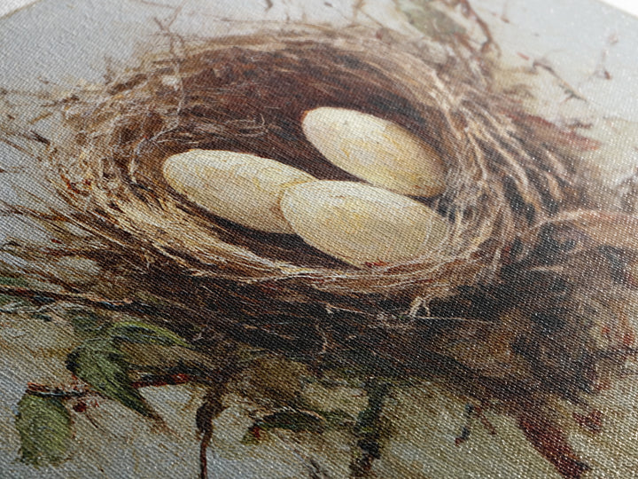 Bird Nest with Eggs and Delicate Twigs Framed Canvas Print, Bird Art, Statement Artwork, Living Room Decor, Fine Art, Flight, BIR-2x1-18