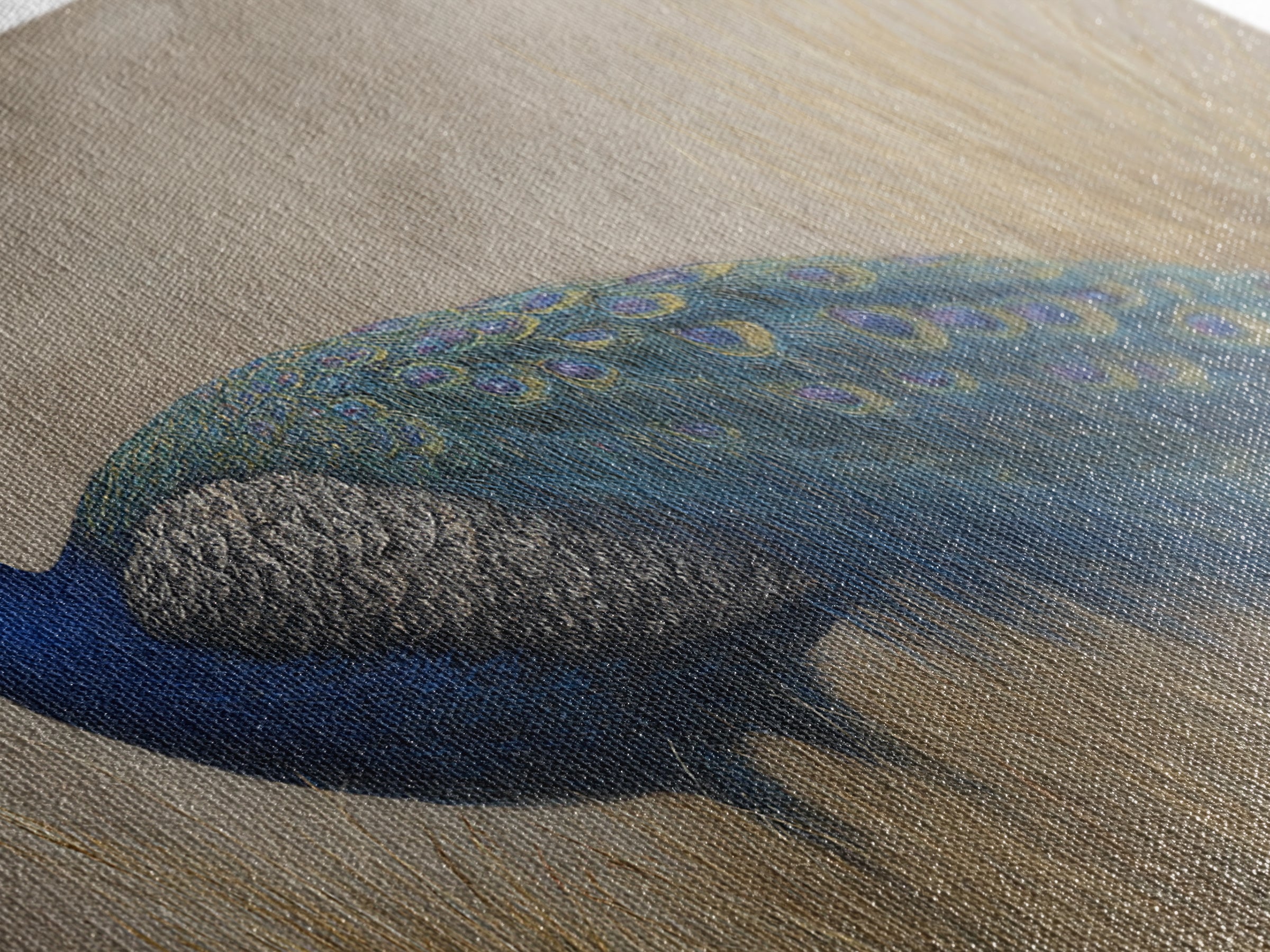 Peacock with Jewel Tone Feather Pattern Framed Canvas Print, Bird Art, Fine Art Print, Living Room Decor, Oil Painting, Flight, BIR-2x1-27