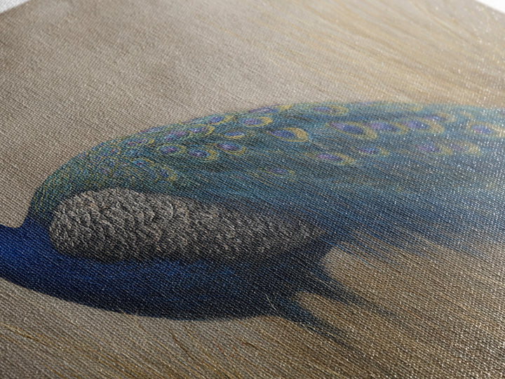 Peacock with Jewel Tone Feather Pattern Framed Canvas Print, Bird Art, Fine Art Print, Living Room Decor, Oil Painting, Flight, BIR-2x1-27